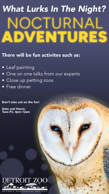 digital outdoor board